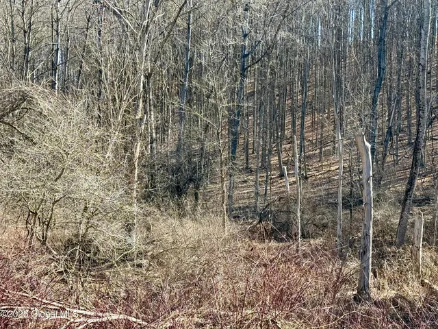 $234,500 | L22 Ryan Road, Greenwich, NY 12834