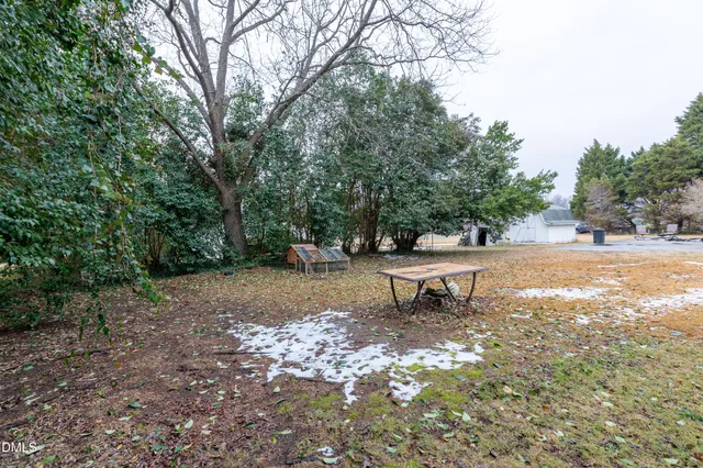a bench and trees in the middle of a field