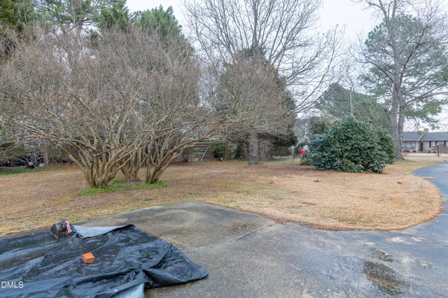 a view of backyard with green space