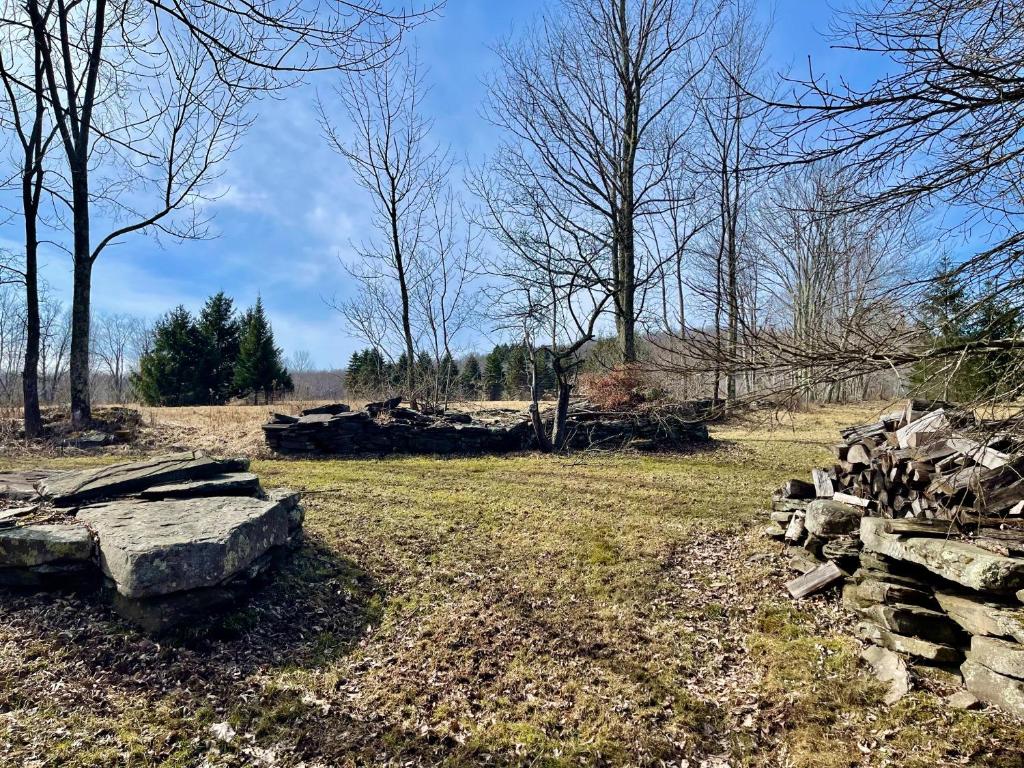 381 Denver Run Road Roxbury, NY 12421 - Photo 23 of 39