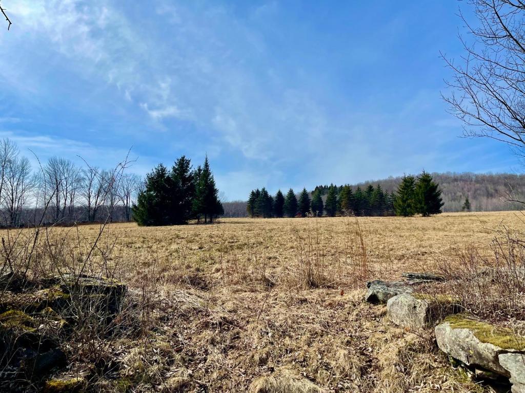 381 Denver Run Road Roxbury, NY 12421 - Photo 34 of 39