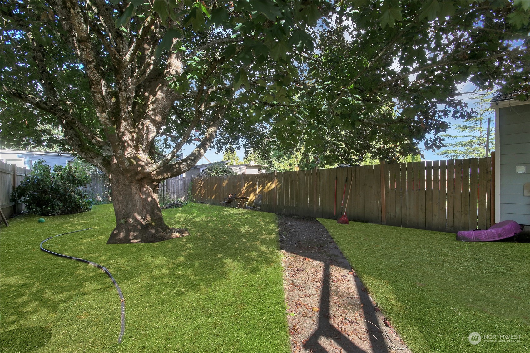 813 West Main Puyallup, WA 98371 - Photo 23 of 24 a view of a backyard with a tree