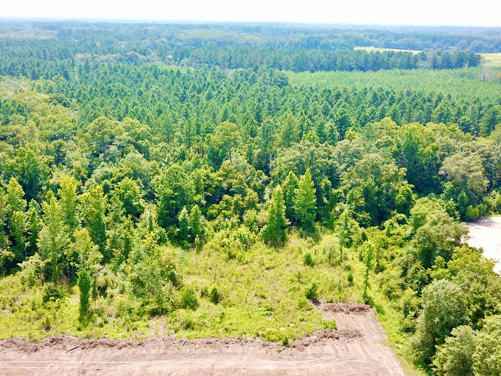 L1 New Hinson Road Slocomb, AL 36375 - Photo 18 of 30