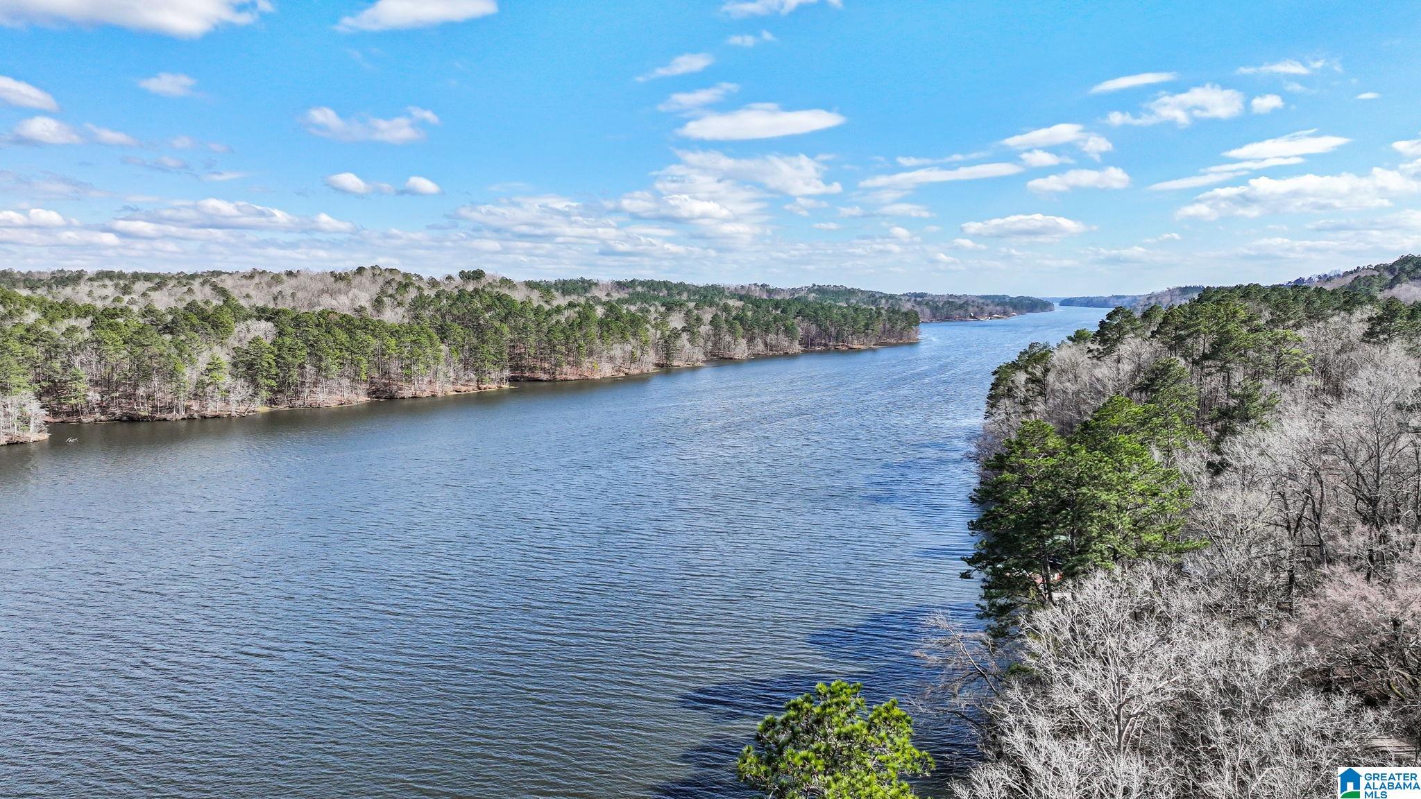 1415 Gold Mine Branch Road Marbury, AL 36051 - Photo 43 of 45
