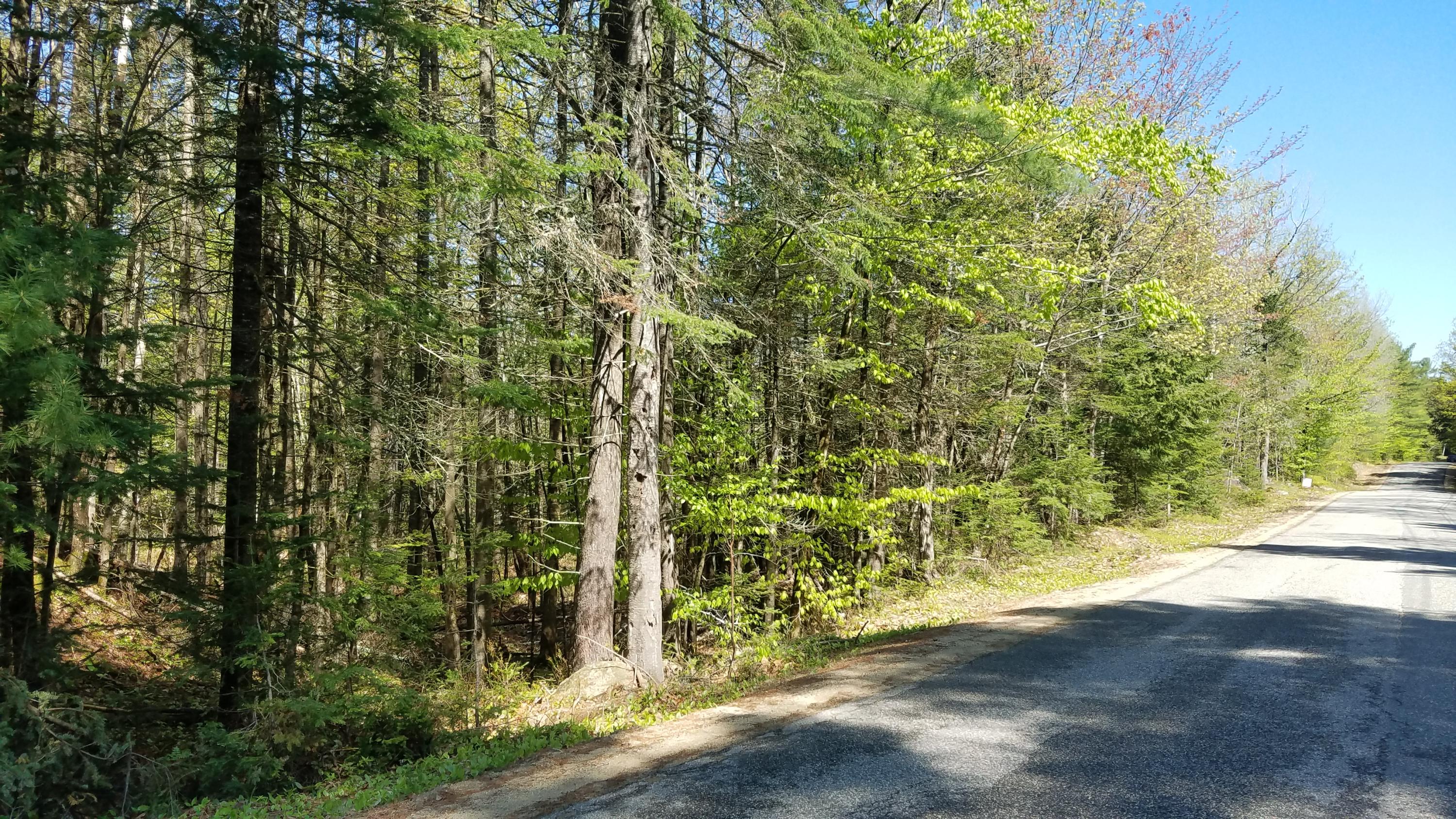 Tbd Stock Farm Road South Paris, ME 04281 - Photo 12 of 12 20190526_101804