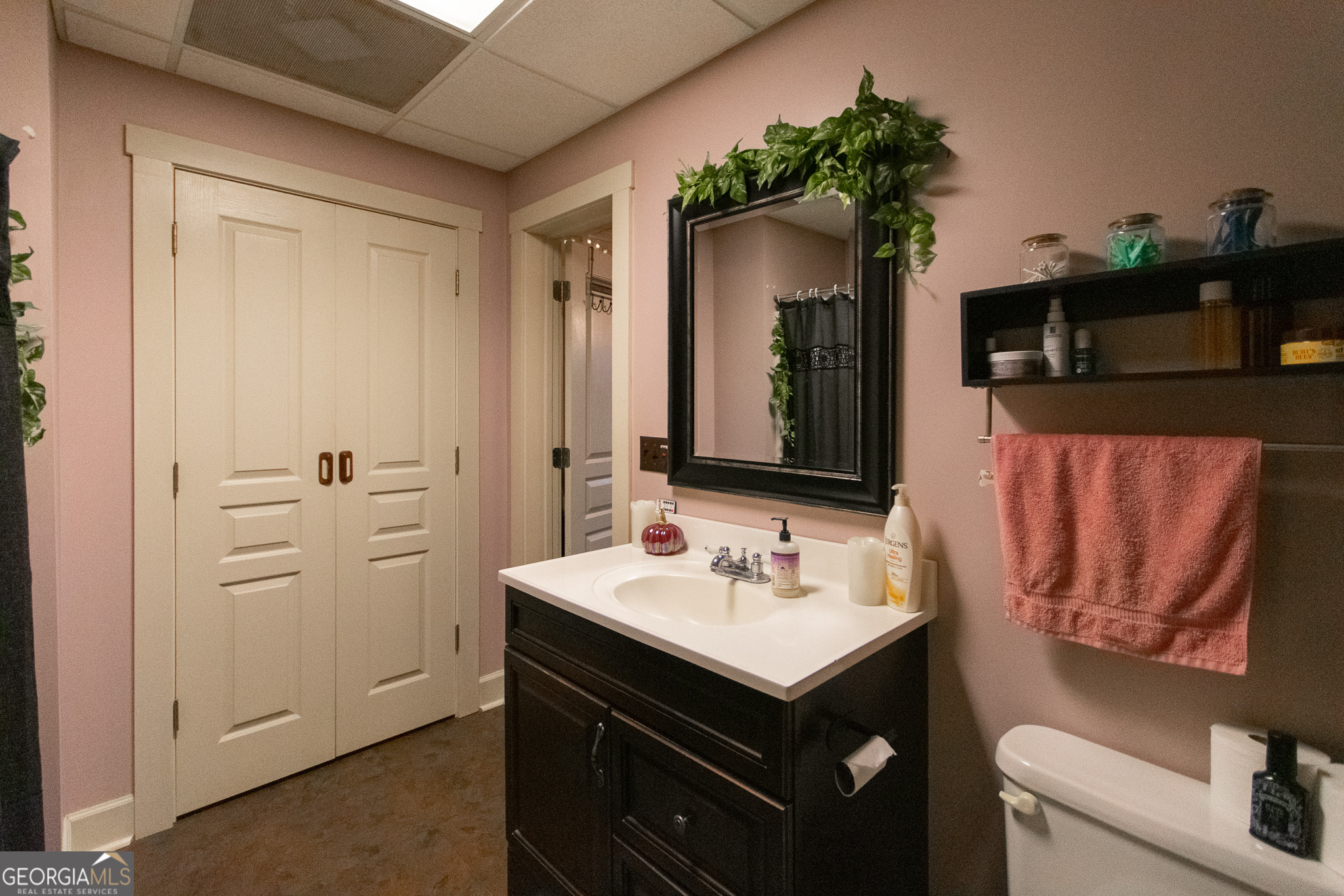 190 Carl Williams Road Senoia, GA 30276 - Photo 65 of 93 a bathroom with a sink a mirror and a toilet