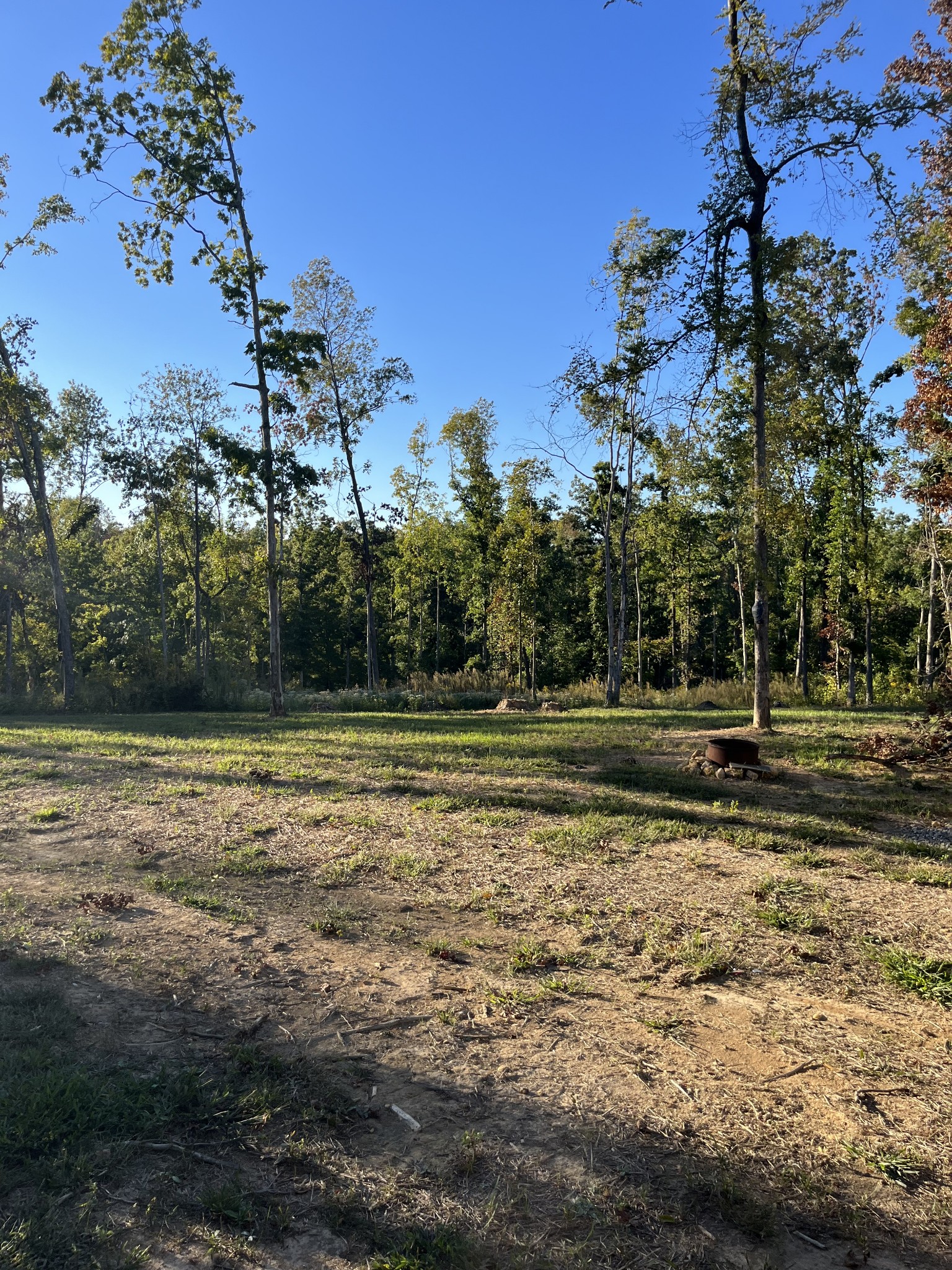 548 Deep Cut Road Erin, TN 37061 - Photo 3 of 18 Gallery Image 3