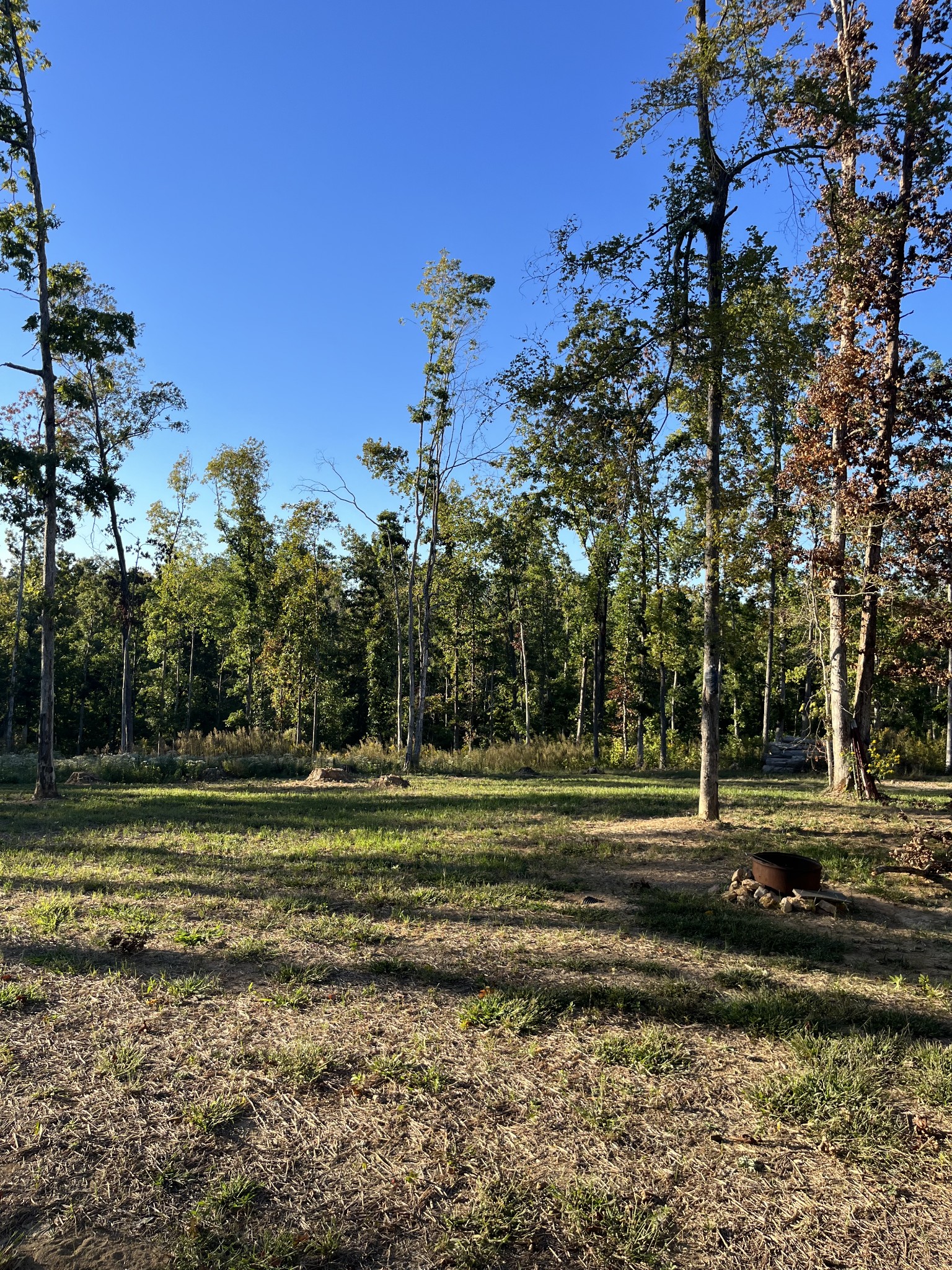 548 Deep Cut Road Erin, TN 37061 - Photo 4 of 18 Gallery Image 4