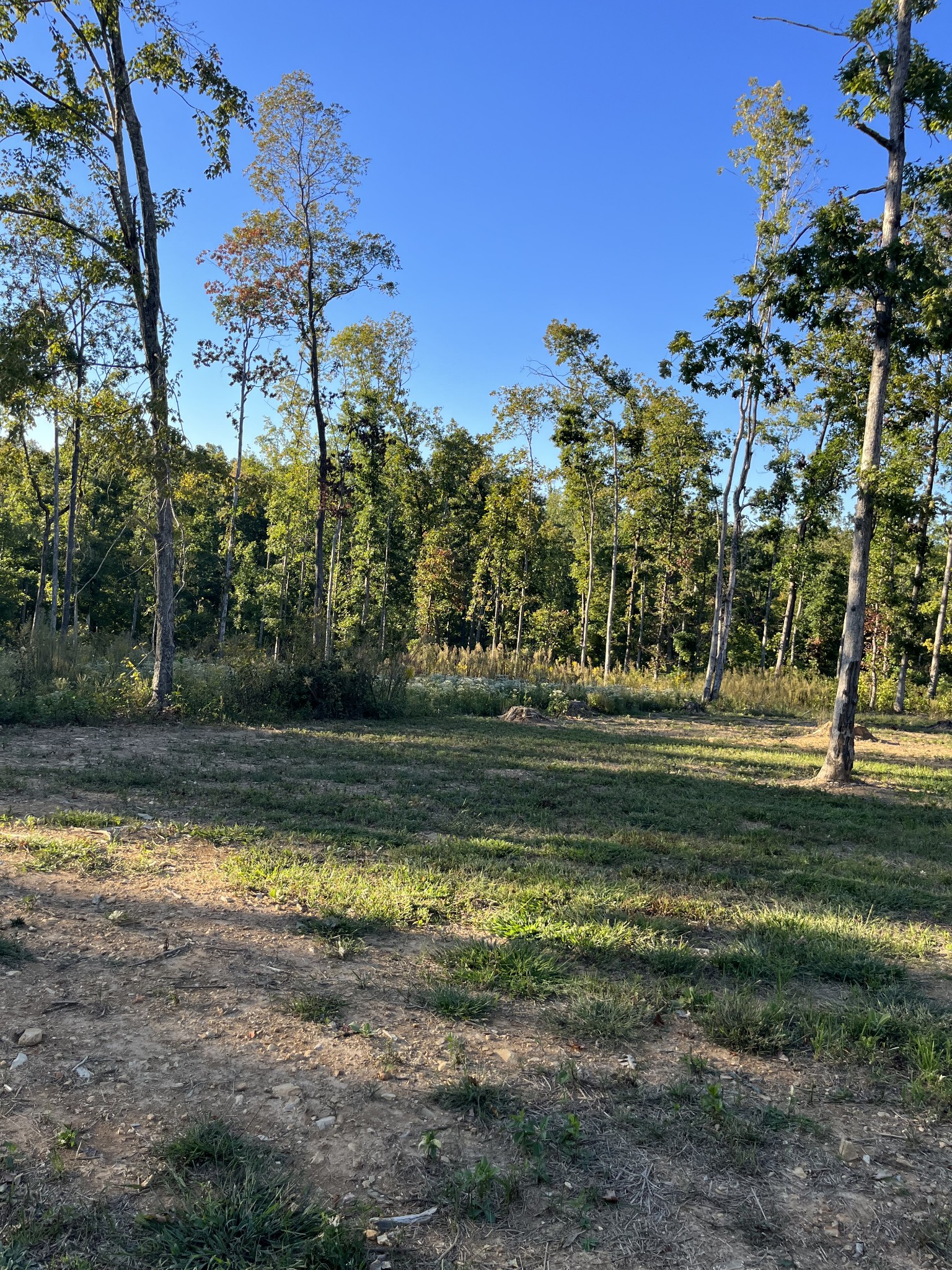 548 Deep Cut Road Erin, TN 37061 - Photo 6 of 18 Gallery Image 6