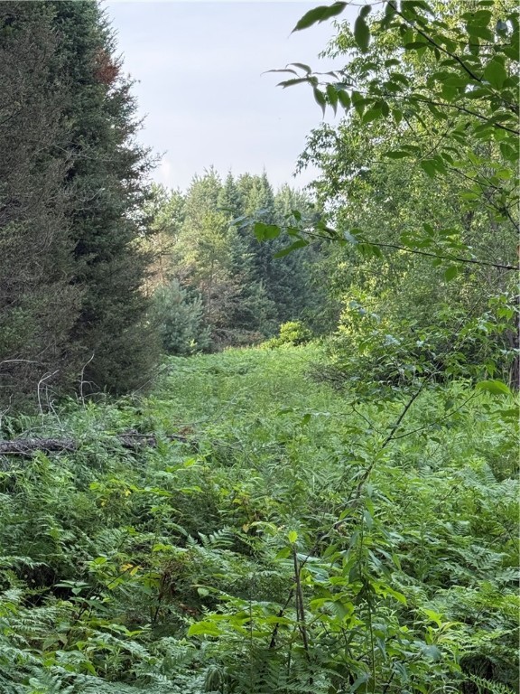 0 Tagalder Trail Hayward, WI 54843 - Photo 10 of 23