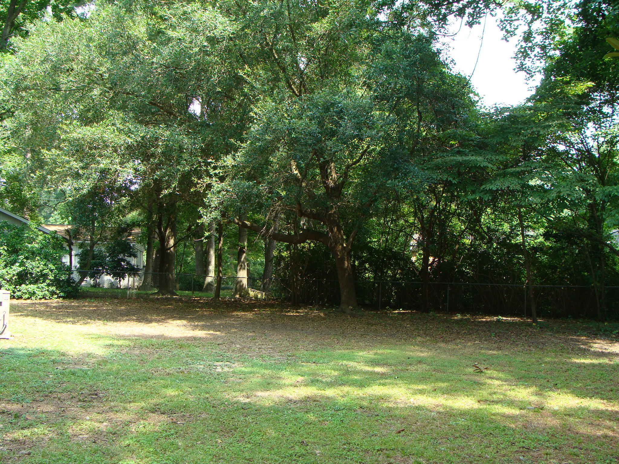 2182 Till Road Charleston, SC 29414 - Photo 10 of 13 Roomy Backyard