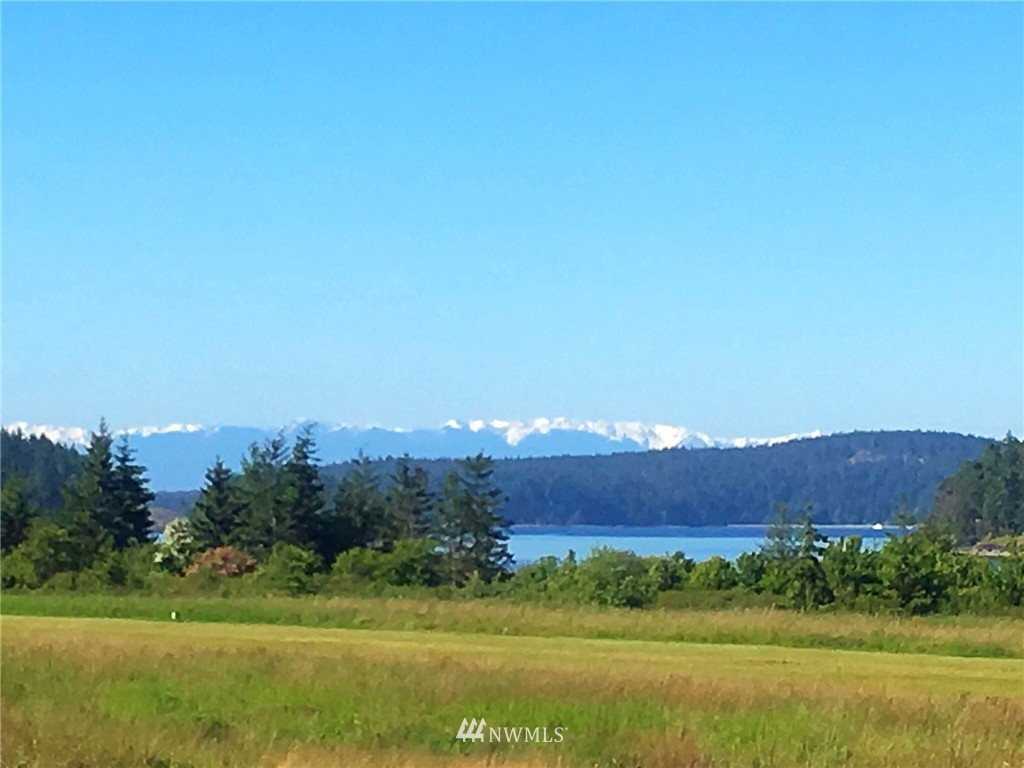 364 Airport Perimeter Way Decatur Island, WA 98221 - Photo 2 of 25 Gallery Image 2