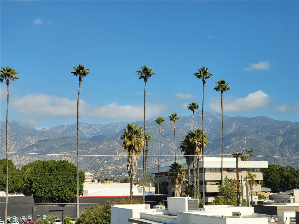 a view of a flower in front of a building