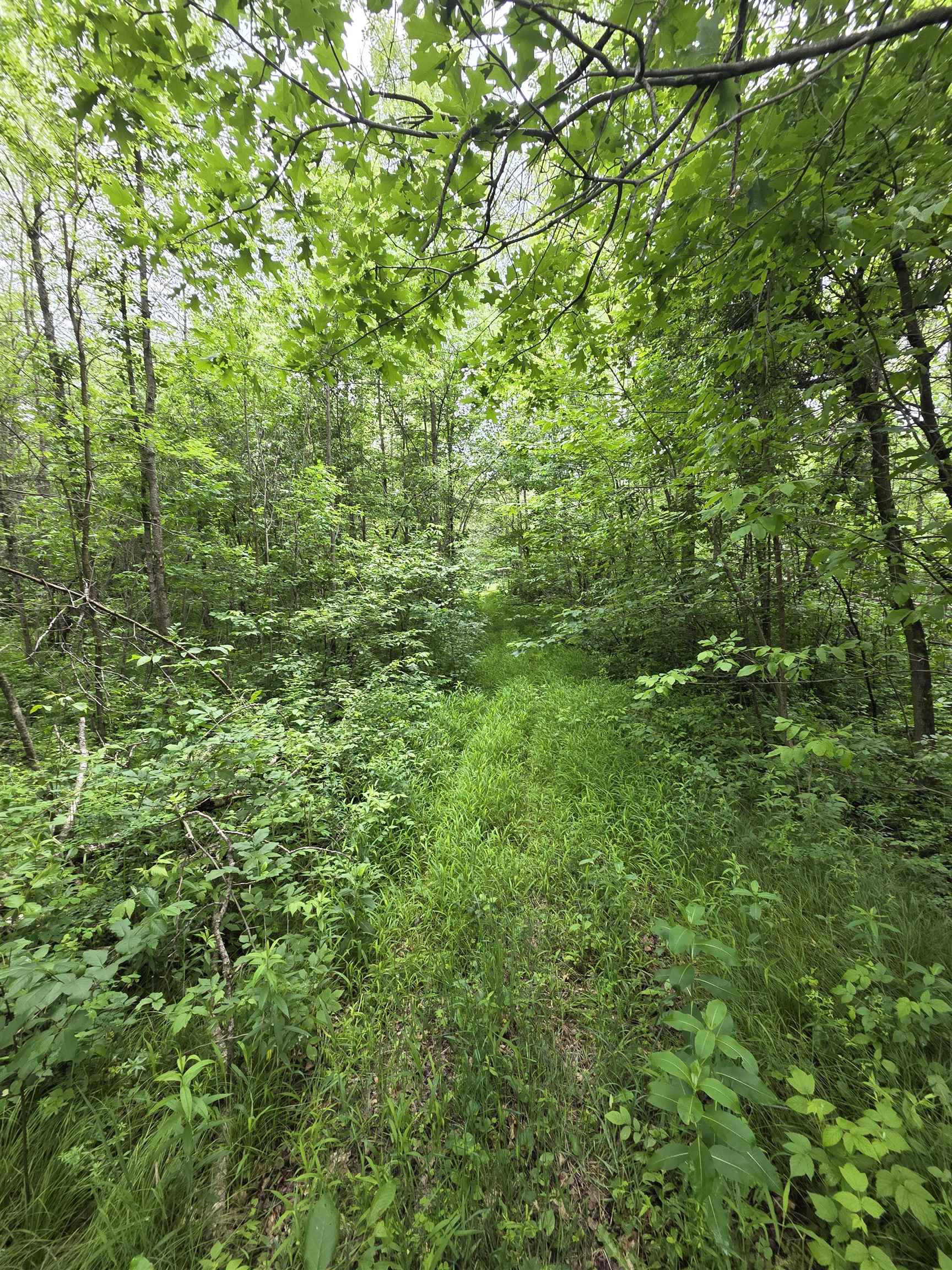 Tower Road Athelstane, WI 54104 - Photo 15 of 25