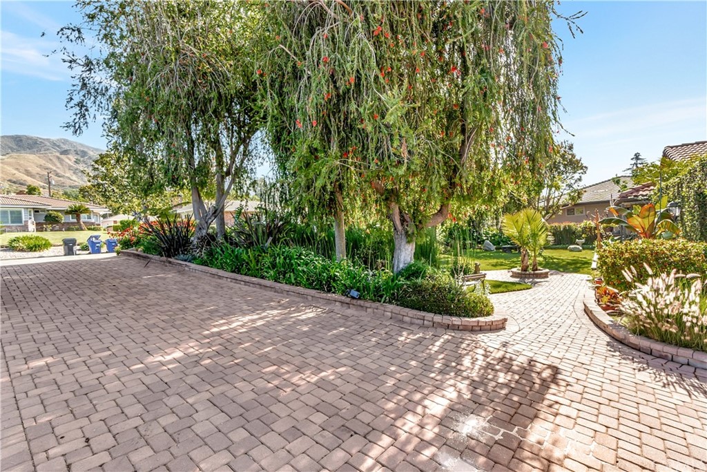 2471 Ocean View Drive Upland, CA 91784 - Photo 46 of 49 a view of a backyard with plants and trees