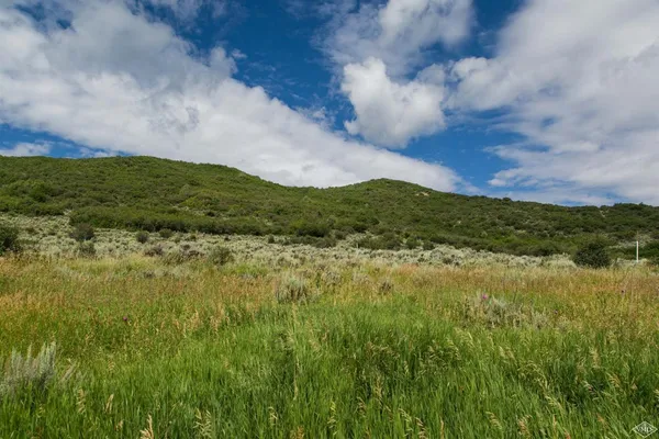 a view of a lush green space with sea