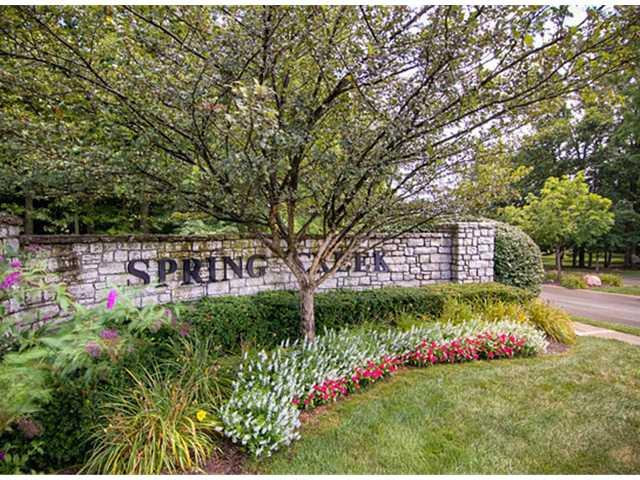 5317 Rippling Brook Way Carmel, IN 46033 - Photo 12 of 12 Gallery Image 12