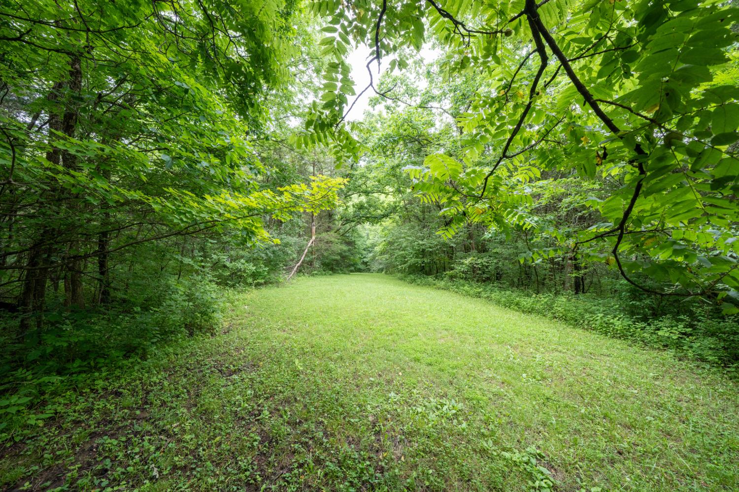 12567 White Plains Road Milan, IN 47031 - Photo 25 of 75