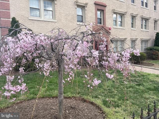 $217,500 | 2625 3rd Street Northeast, Unit 105, Washington, DC 20002