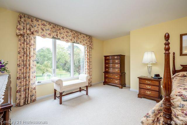 877 Jack Pine Drive Rochester, MI 48306 - Photo 37 of 72 Gallery Image 37
