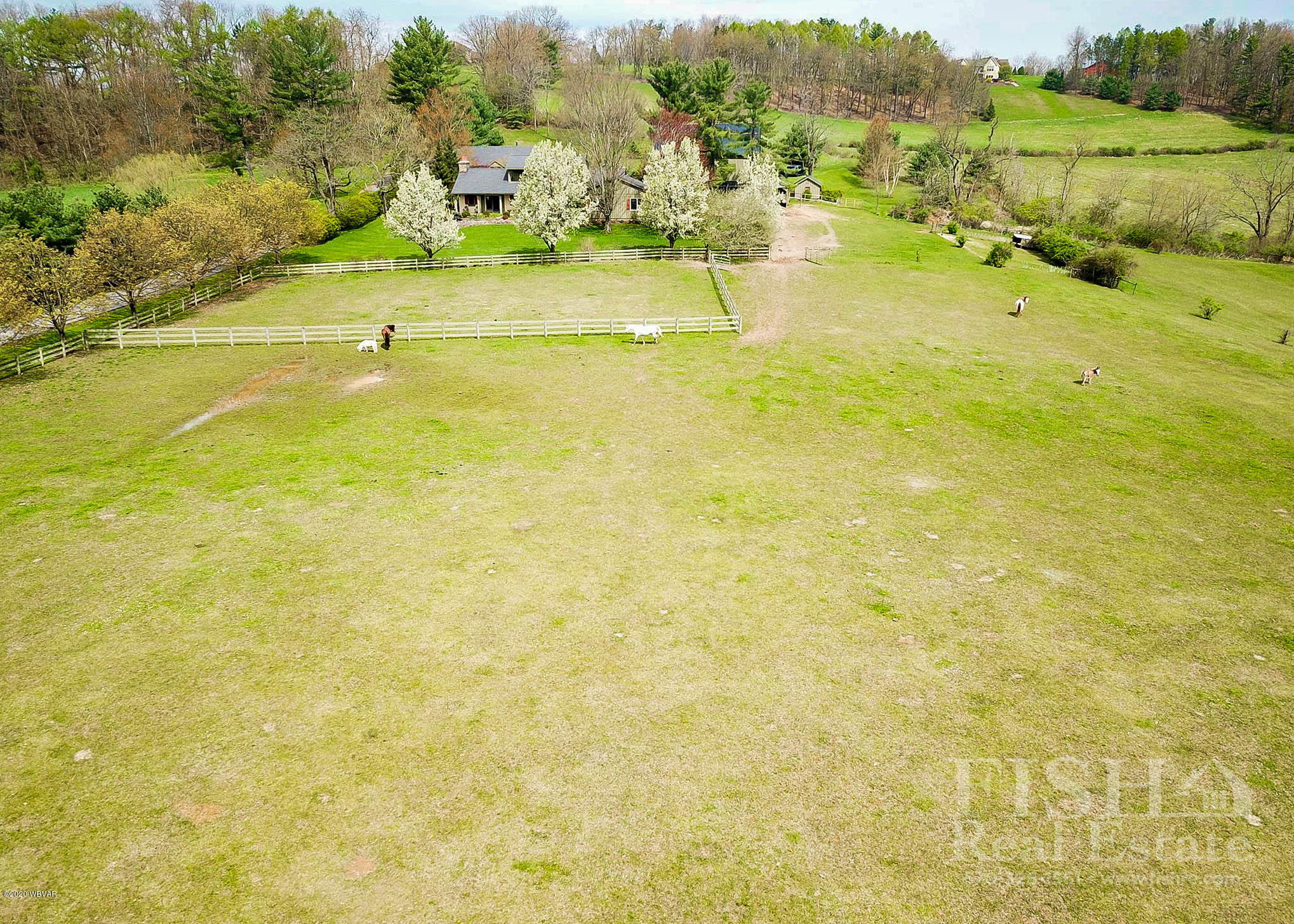 744 Grammer Road Williamsport, PA 17701 - Photo 10 of 69 Drone Pic 4