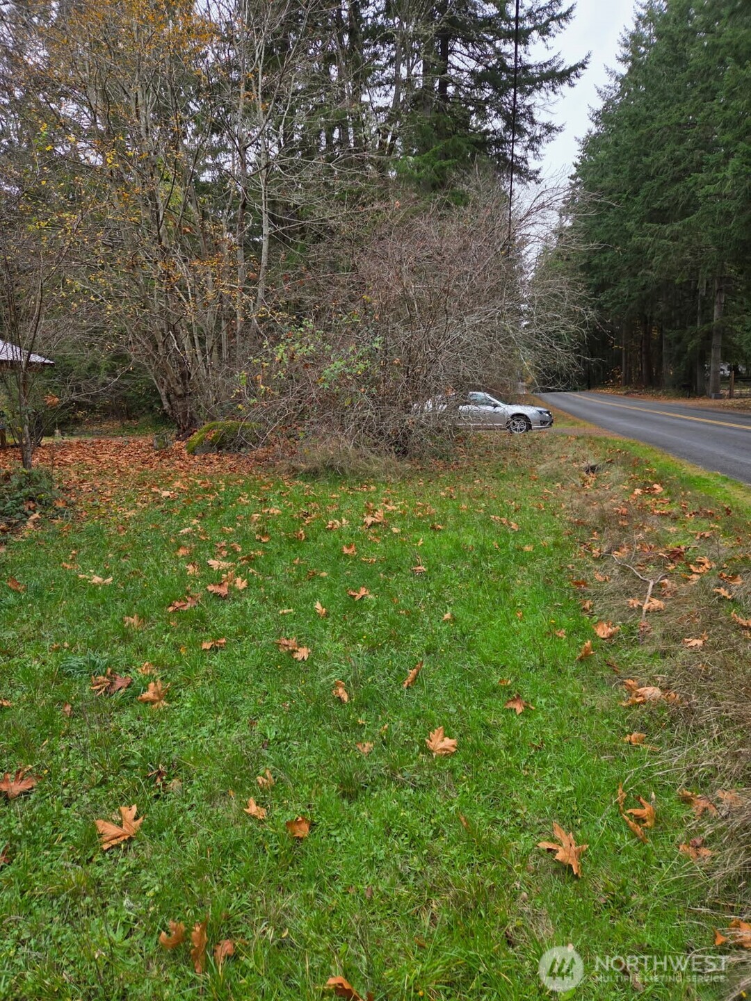 15820 62nd Avenue Northwest Gig Harbor, WA 98332 - Photo 2 of 7 a view of a field with plants and trees