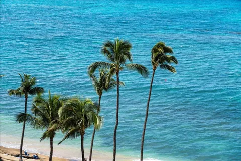a vase of flowers sitting on a wooden floor