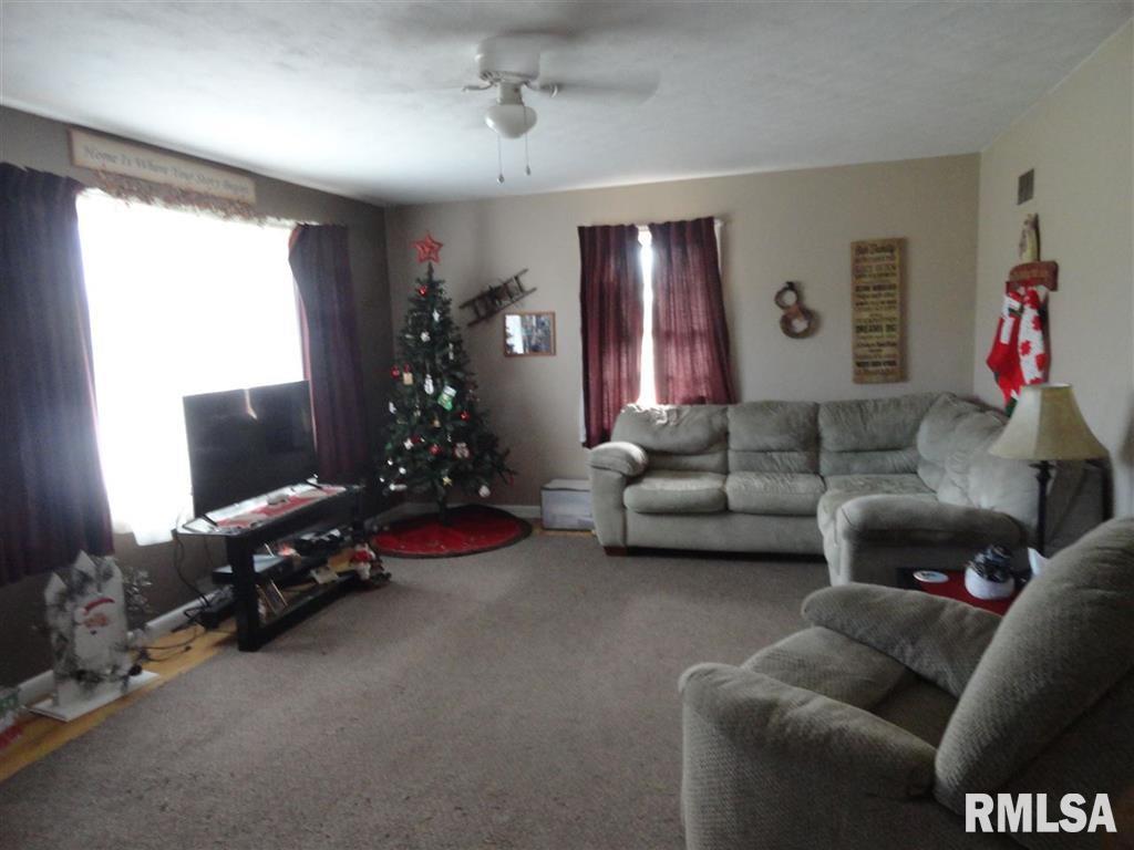 520 Locust Street Andover, IL 61233 - Photo 13 of 22 Gallery Image 13