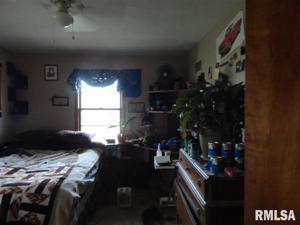 520 Locust Street Andover, IL 61233 - Photo 15 of 22 Gallery Image 15