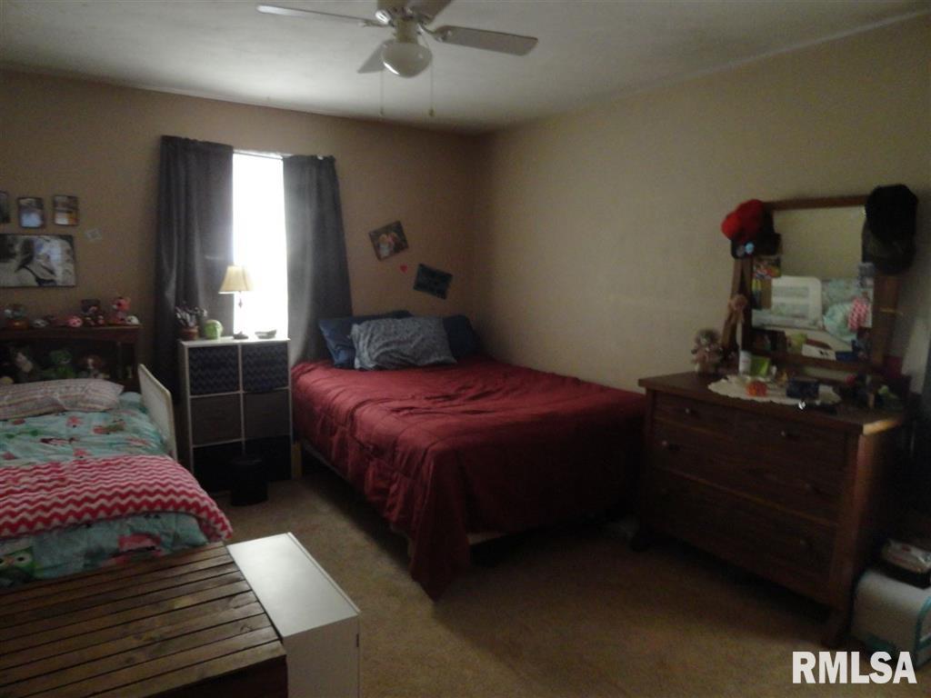 520 Locust Street Andover, IL 61233 - Photo 20 of 22 Gallery Image 20