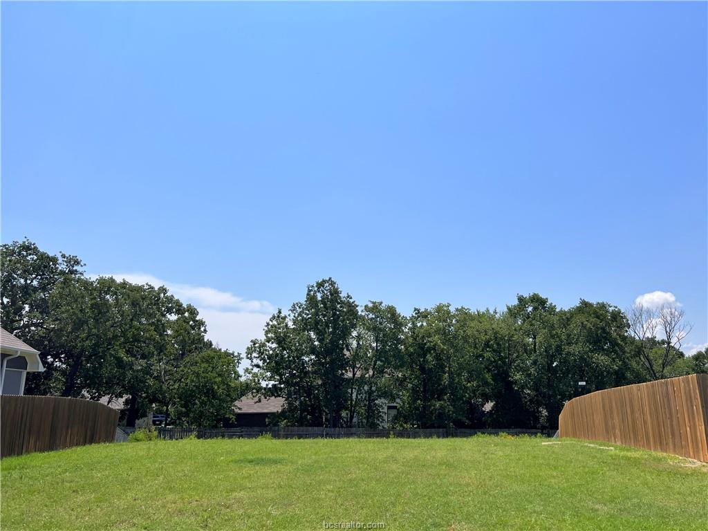 2147 Mountain Wind Loop Bryan, TX 77807 - Photo 7 of 8 a view of outdoor space and yard