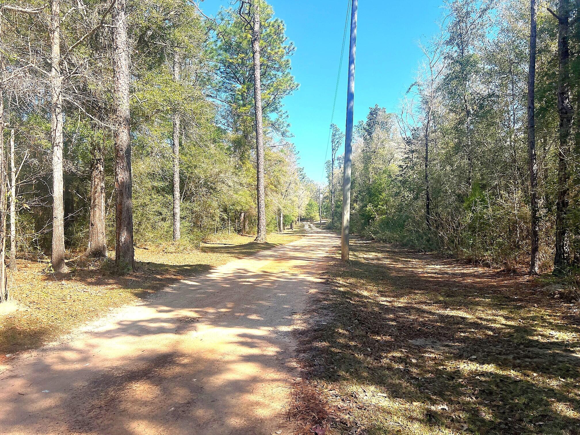 166 Miller Road DeFuniak Springs, FL 32435 - Photo 11 of 76 Woods, Trails, Creek (16)
