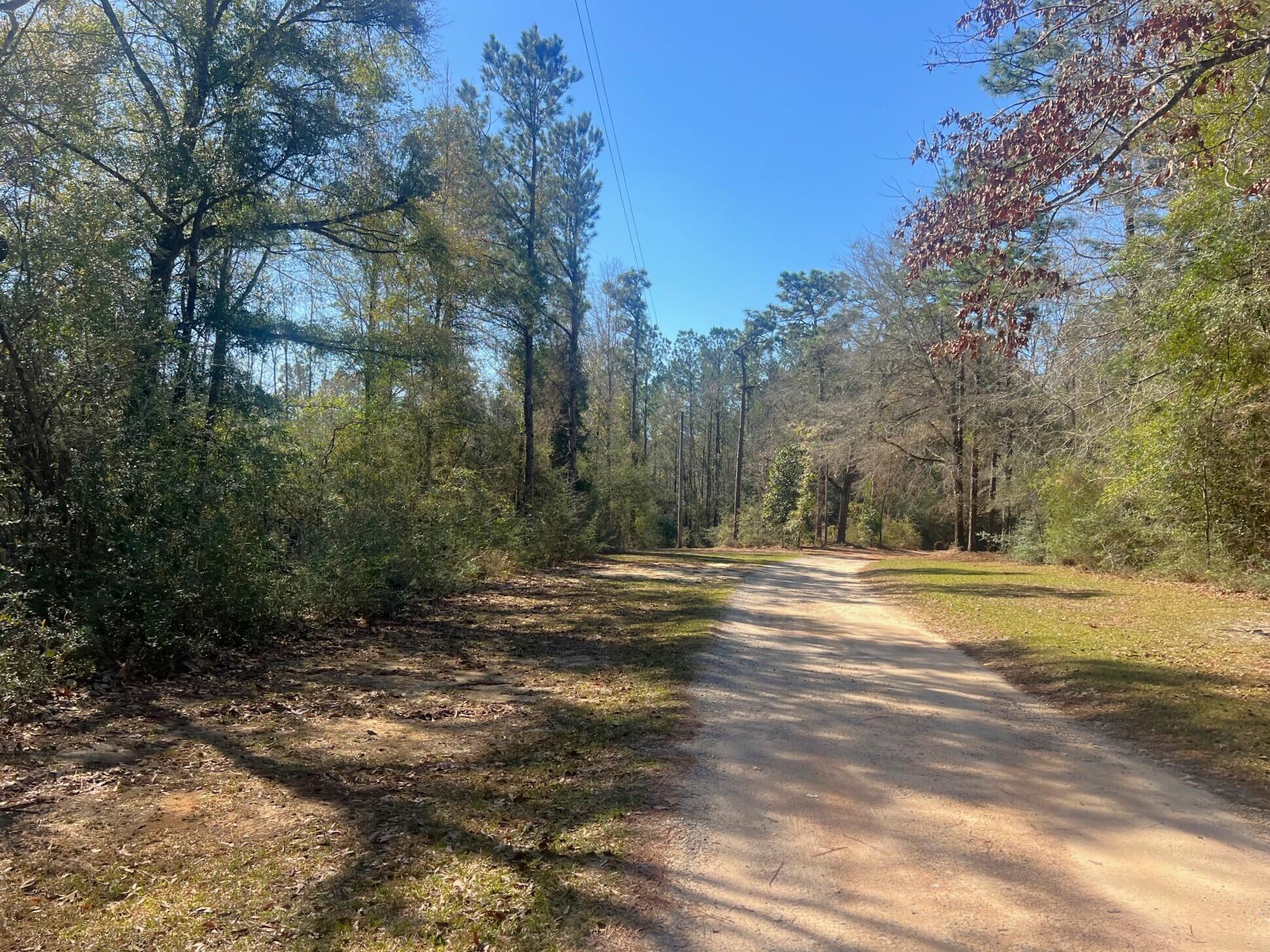 166 Miller Road DeFuniak Springs, FL 32435 - Photo 12 of 76 Woods, Trails, Creek (17)