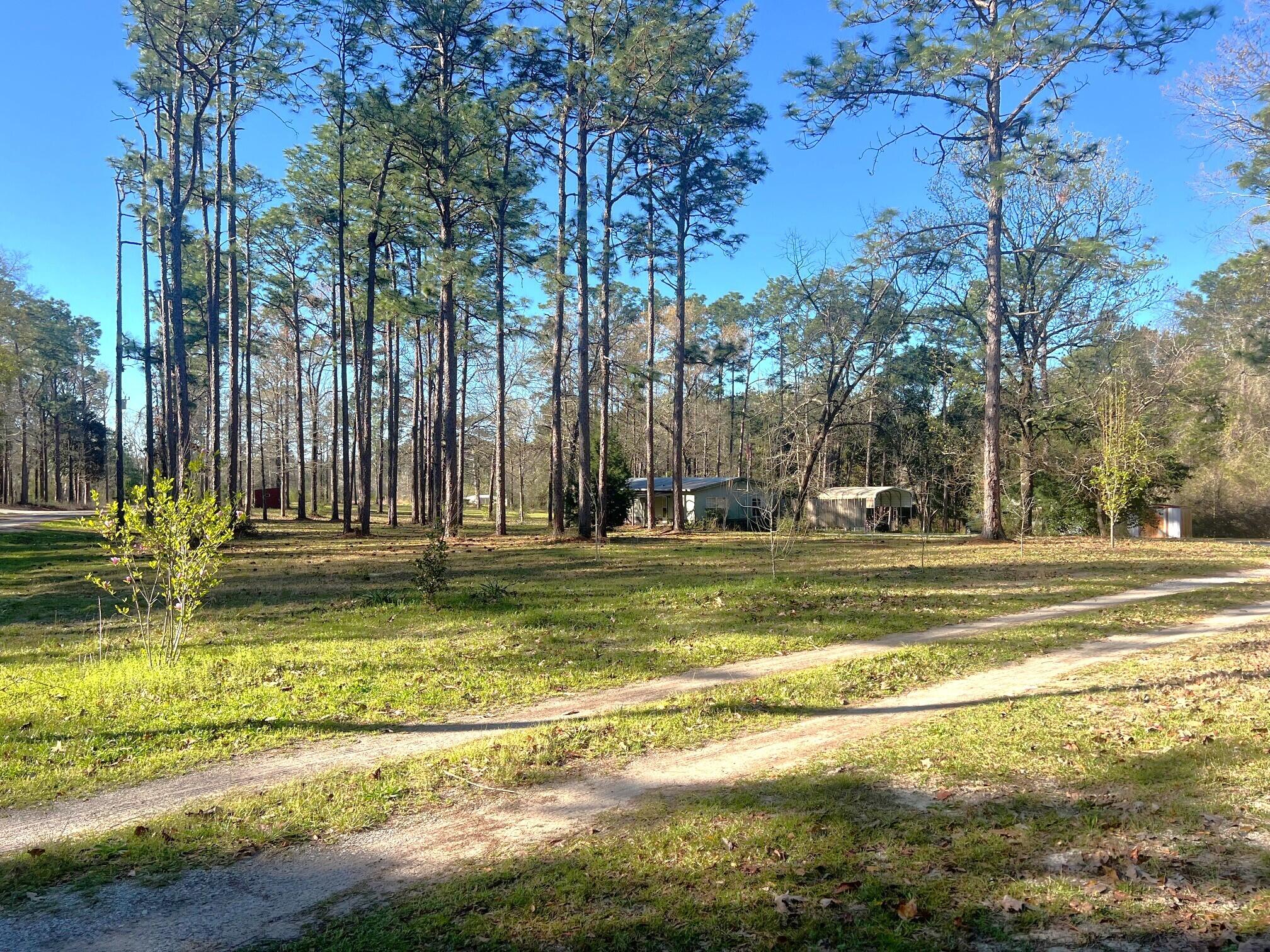 166 Miller Road DeFuniak Springs, FL 32435 - Photo 15 of 76 Land (4)