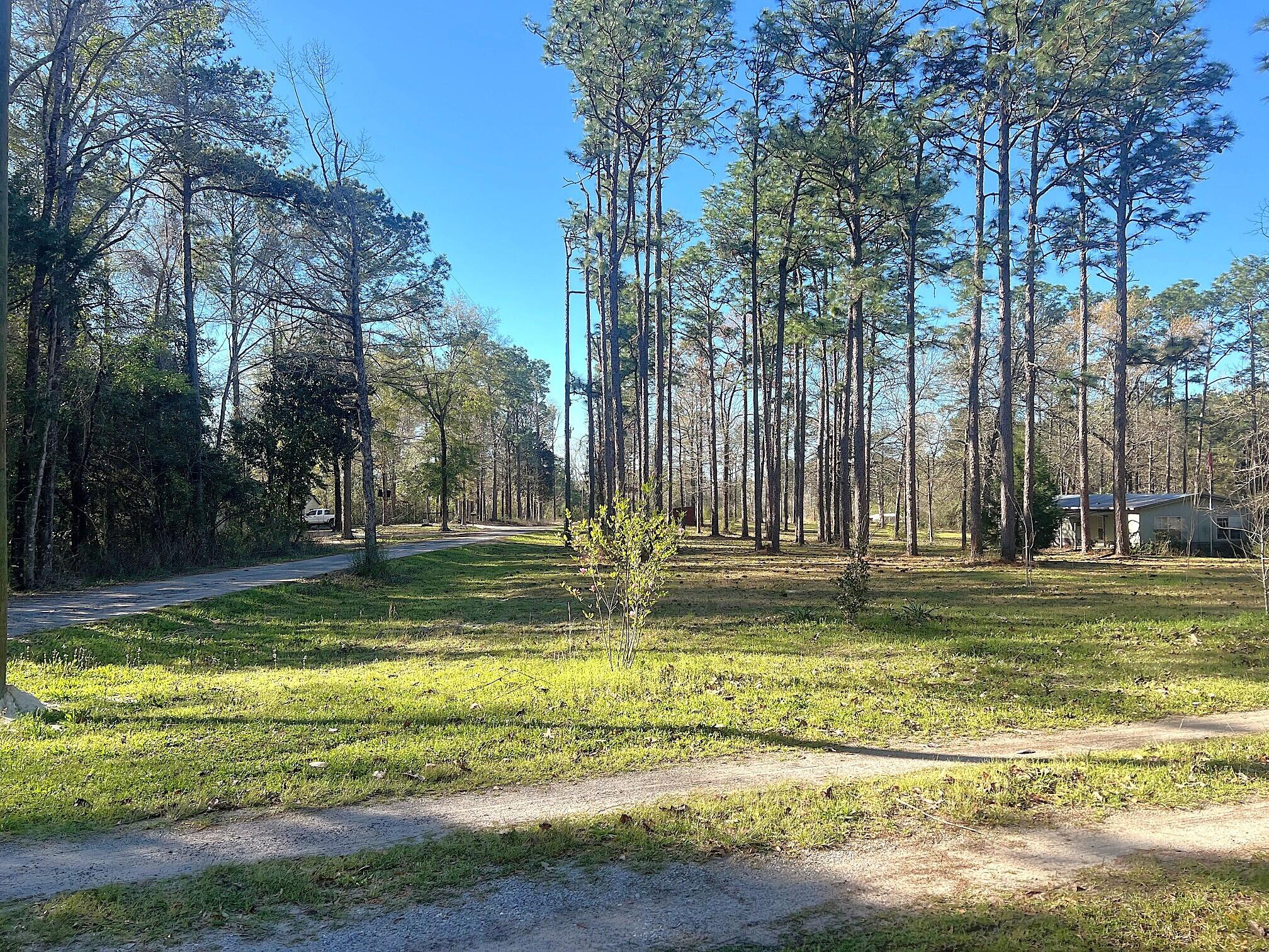 166 Miller Road DeFuniak Springs, FL 32435 - Photo 16 of 76 Land (6)