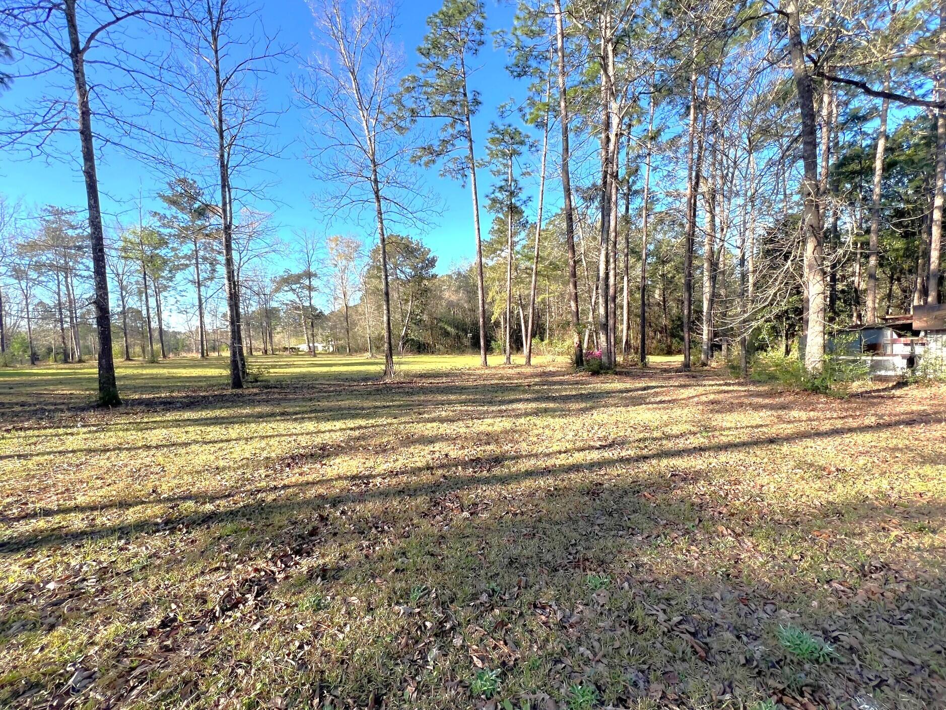 166 Miller Road DeFuniak Springs, FL 32435 - Photo 17 of 76 Land (7)