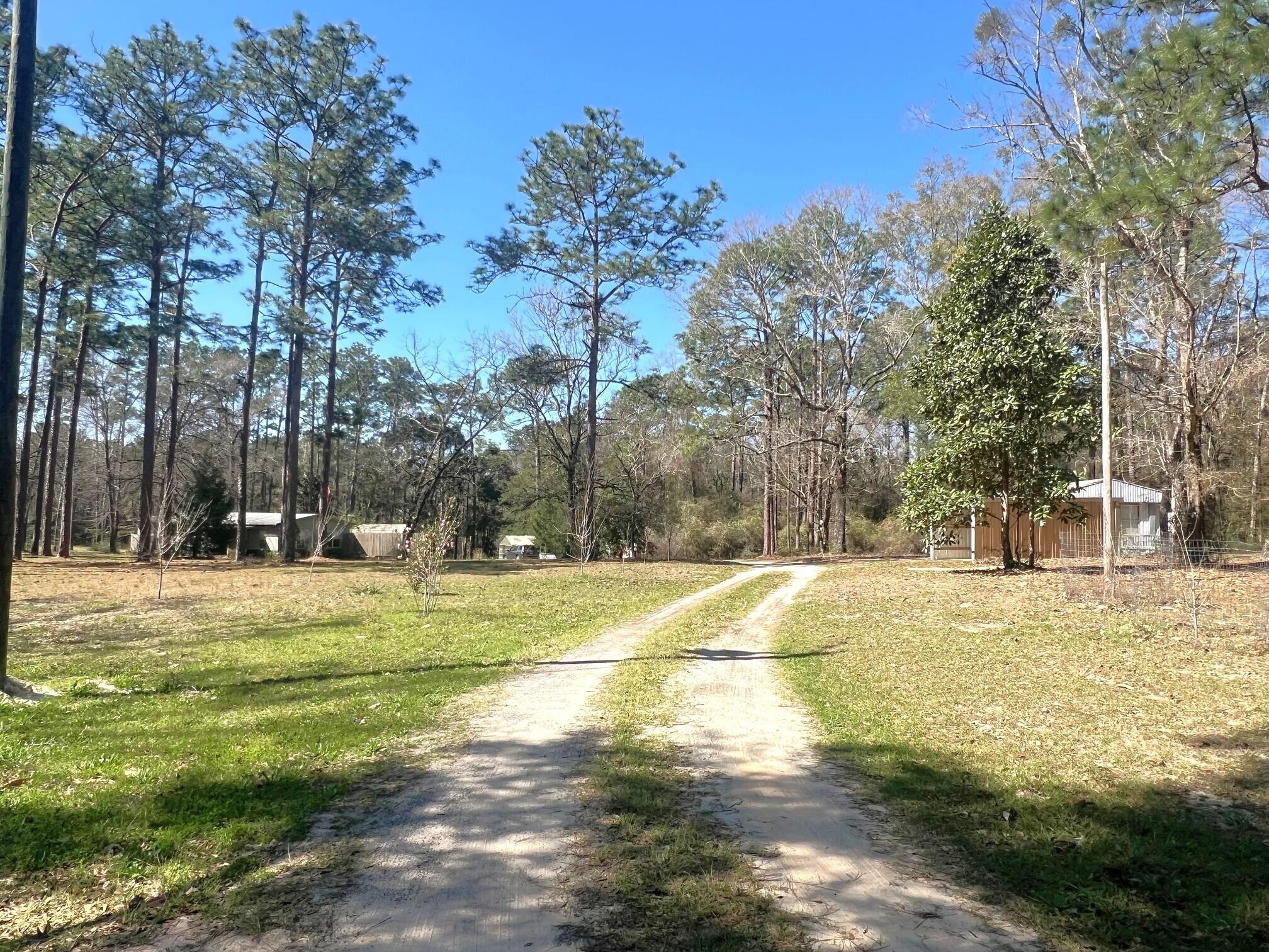 166 Miller Road DeFuniak Springs, FL 32435 - Photo 22 of 76 Land (21)