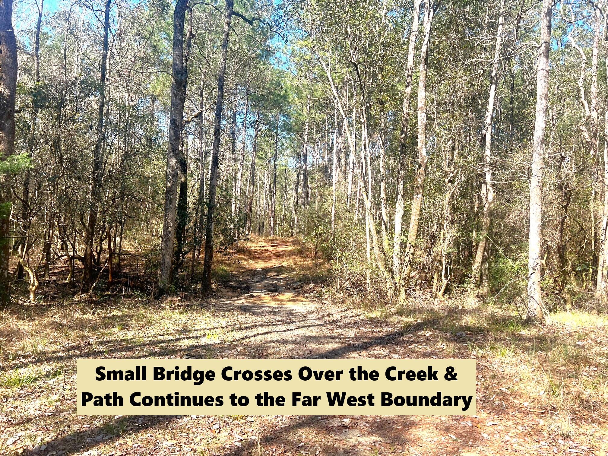 166 Miller Road DeFuniak Springs, FL 32435 - Photo 4 of 76 Woods, Trails, Creek (9)