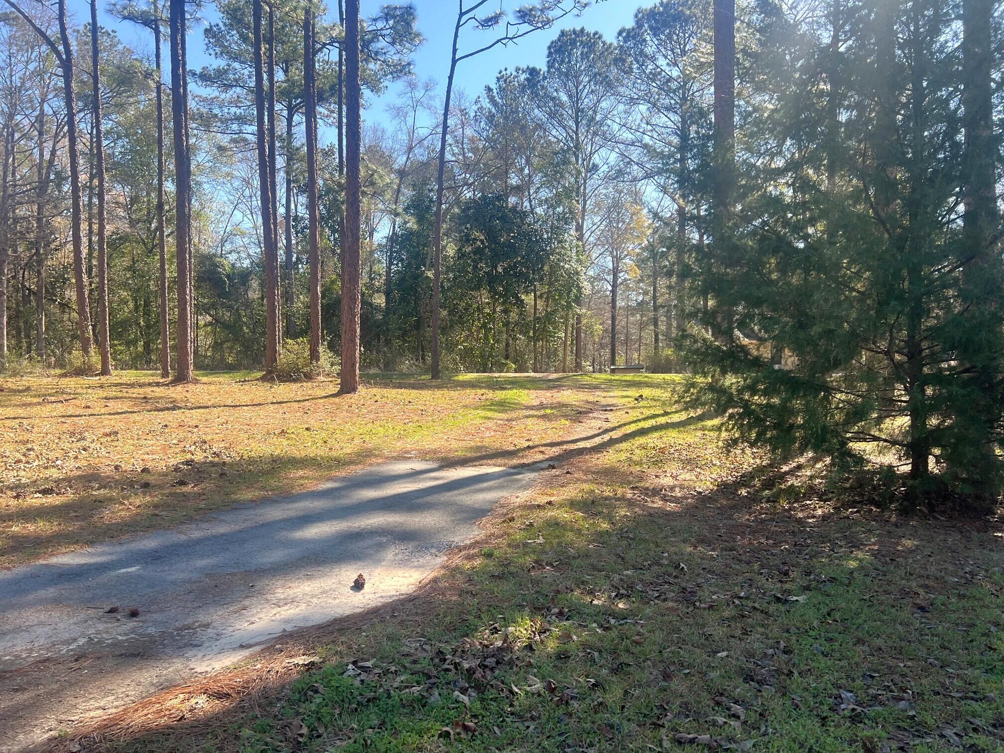 166 Miller Road DeFuniak Springs, FL 32435 - Photo 59 of 76 Land (11)