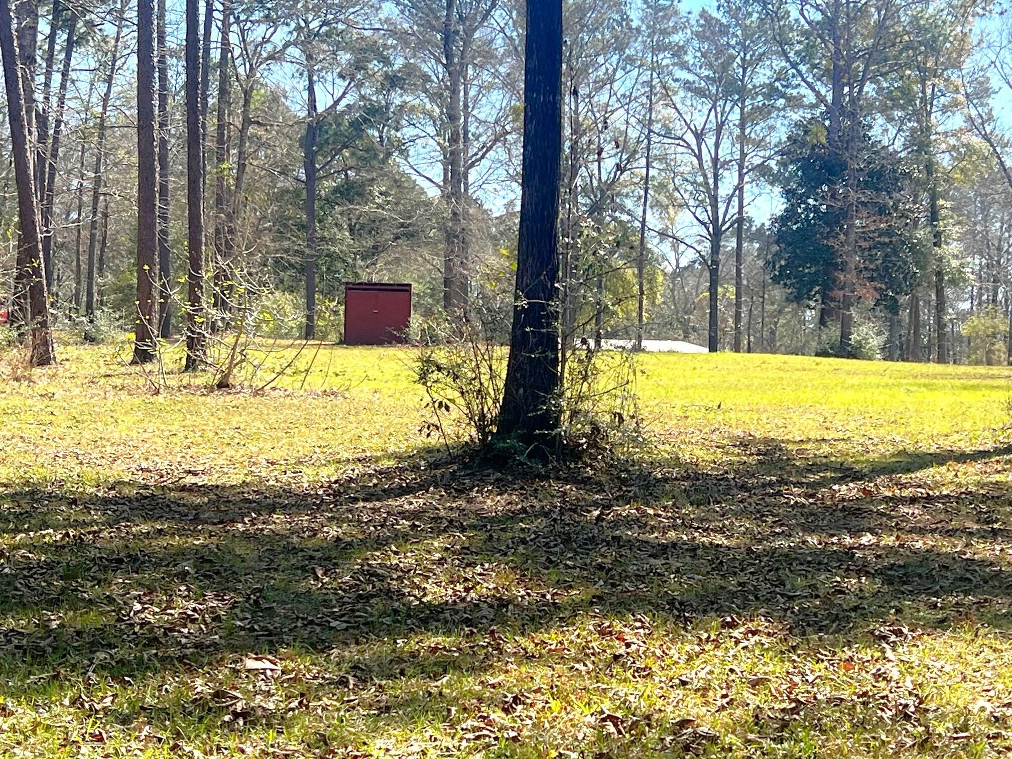 166 Miller Road DeFuniak Springs, FL 32435 - Photo 60 of 76 Land (12)