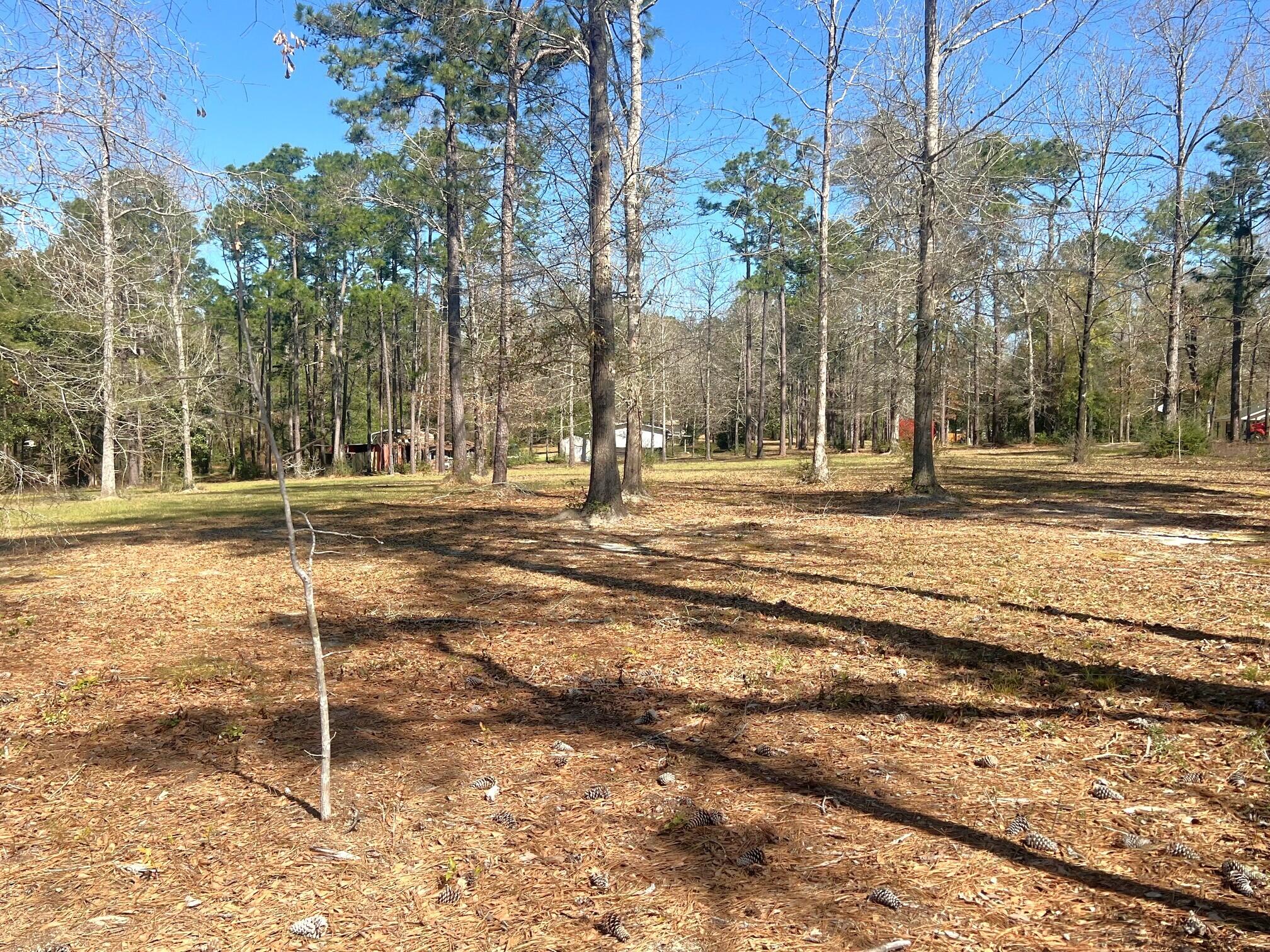166 Miller Road DeFuniak Springs, FL 32435 - Photo 61 of 76 Land (18)