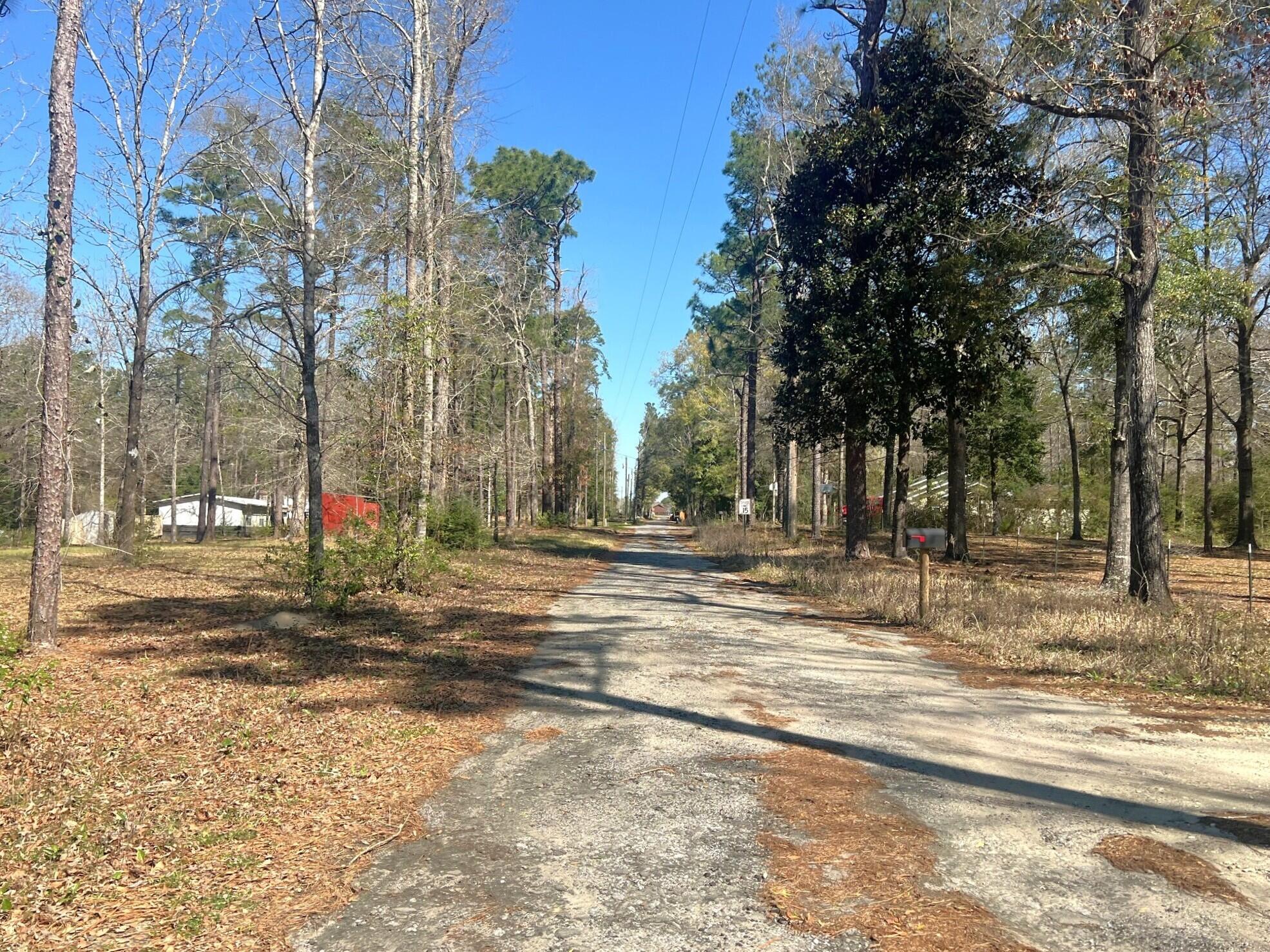 166 Miller Road DeFuniak Springs, FL 32435 - Photo 71 of 76 Land (19)