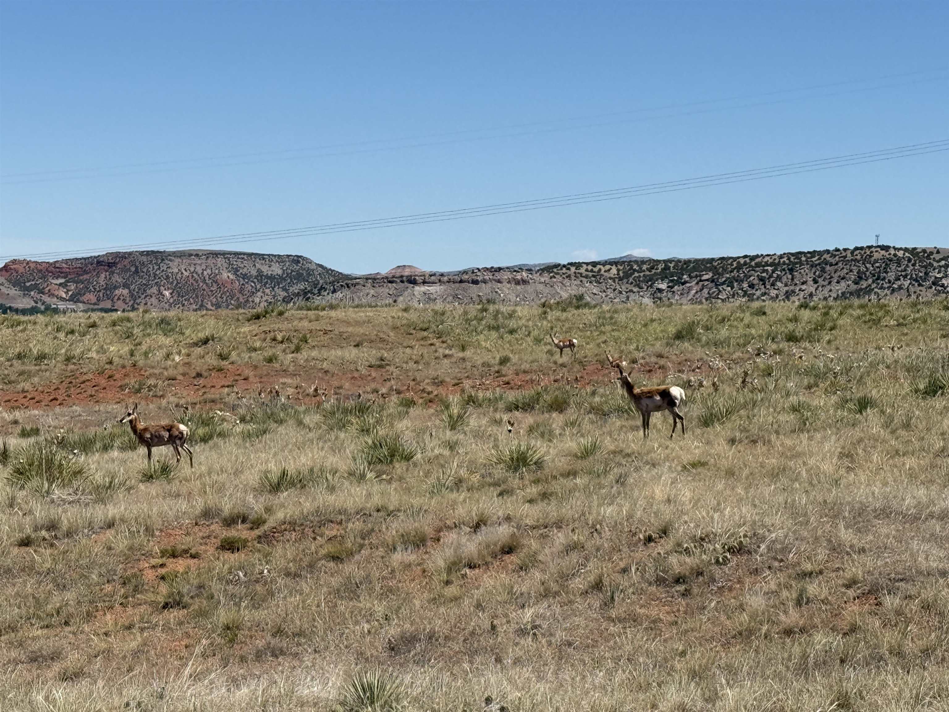 Lot 31 Red Rim Ranch Thermopolis, WY 82443 - Photo 3 of 11