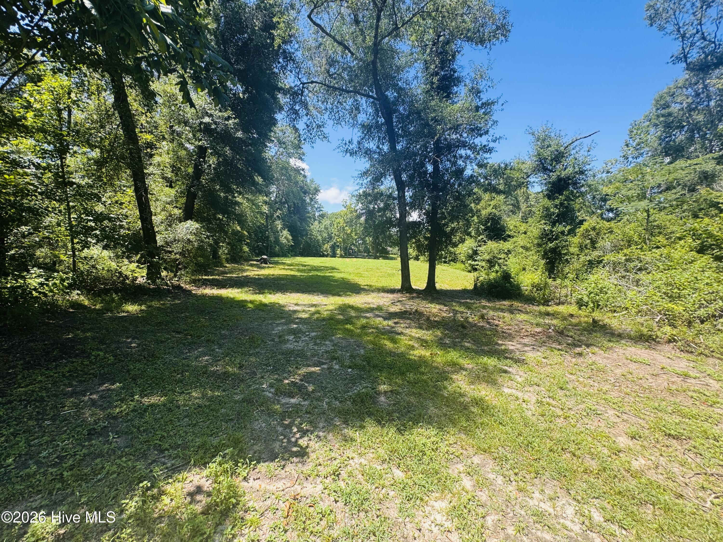 1042 Lake Cadeli Road Bartow, GA 30413 - Photo 15 of 17