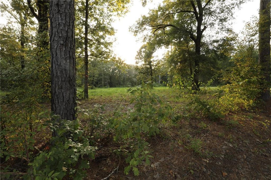 0 Hickory Grove Loop Deville, LA 71328 - Photo 3 of 3 Gallery Image 3