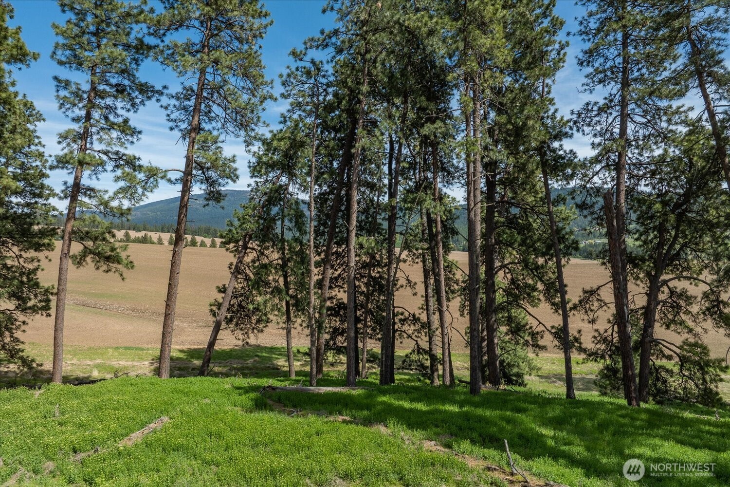 -xxx South Jackson Road, Unit LOT 17 Mica, WA 99023 - Photo 21 of 40 a view of park