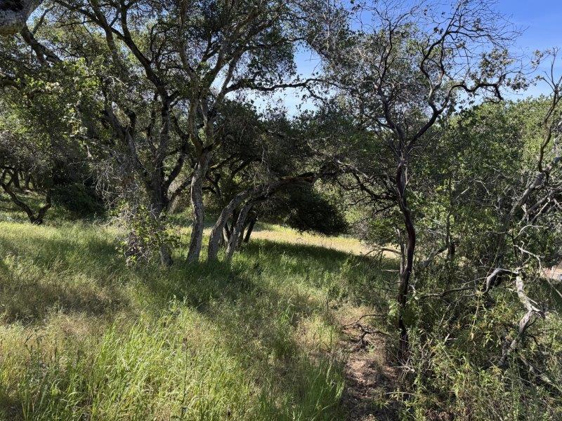 6443 Tustin Road Salinas, CA 93907 - Photo 30 of 34