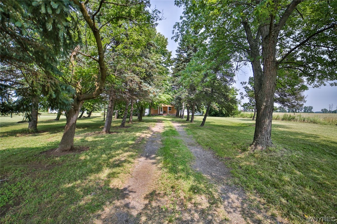 4131 Saunders Settlement Road Cambria, NY 14132 - Photo 6 of 50