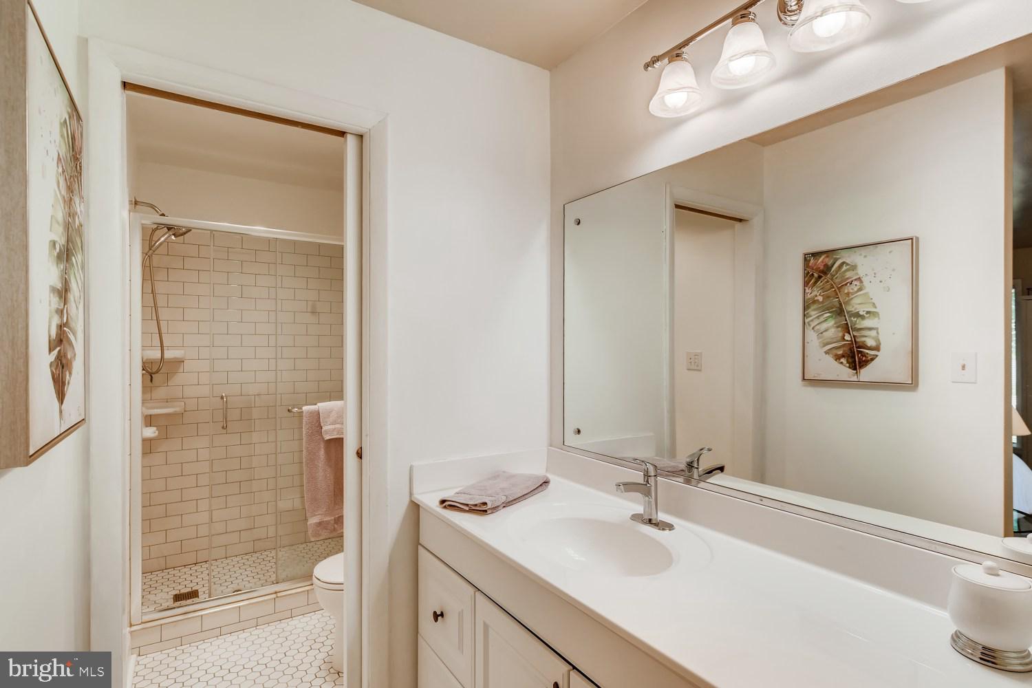 12315 Timber Grove Road Owings Mills, MD 21117 - Photo 19 of 30 master bathroom