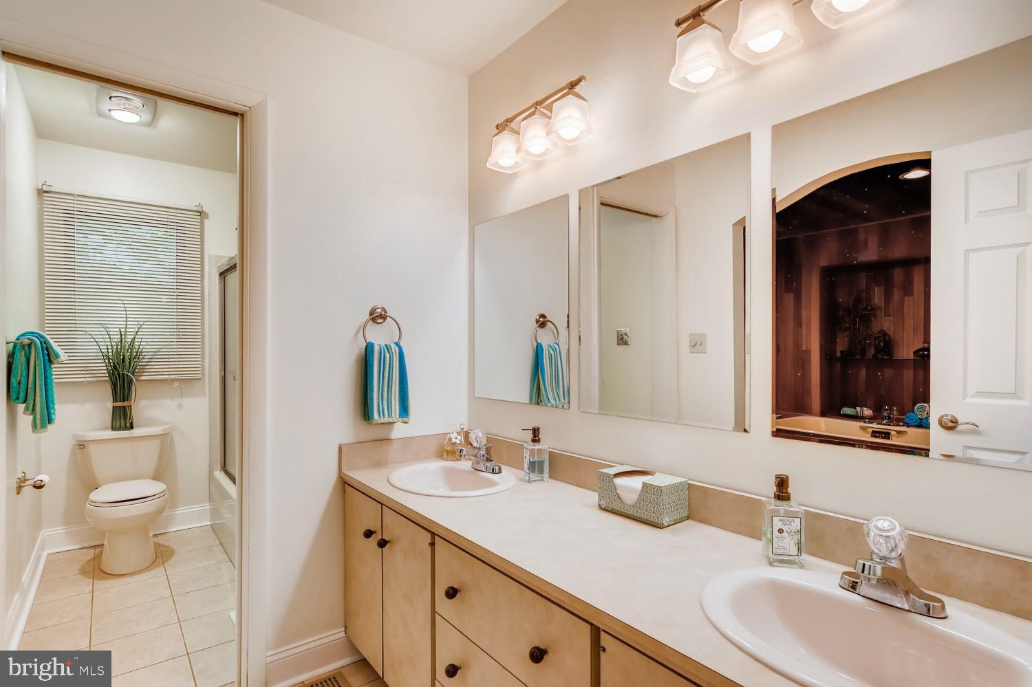 12315 Timber Grove Road Owings Mills, MD 21117 - Photo 22 of 30 guest bathroom with sauna attached to the left